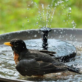 VIVII outdoor water feature adds ambiance to ponds and pools with solar power.