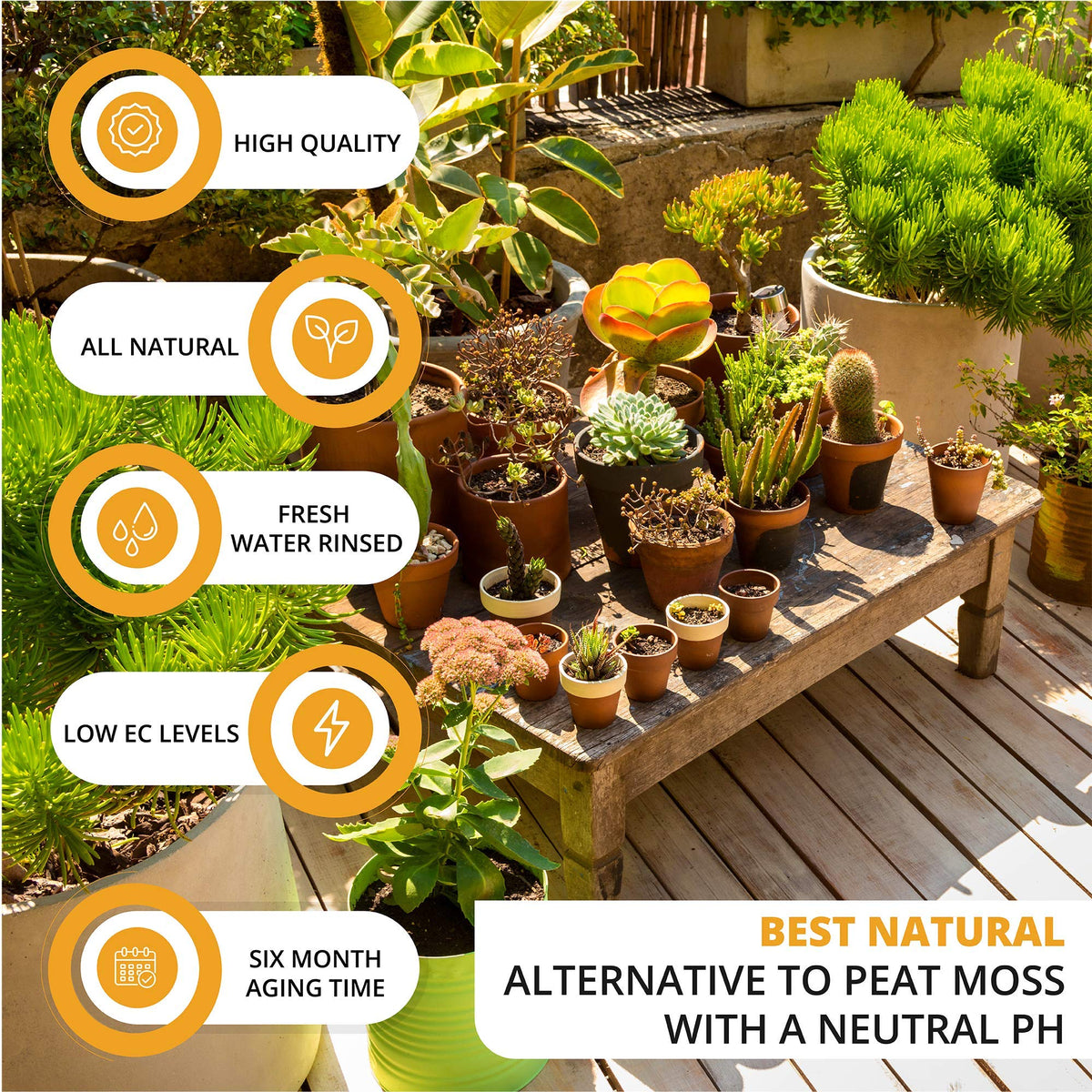 Hydration expands the Vivlly Coco Coir brick to fill seed trays with fluffy medium.