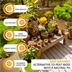 Hydration expands the Vivlly Coco Coir brick to fill seed trays with fluffy medium.