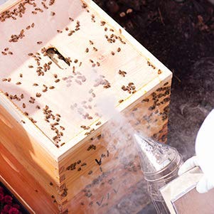 VIVO Bee Hive Smoker measures 11 inches for easy handling
