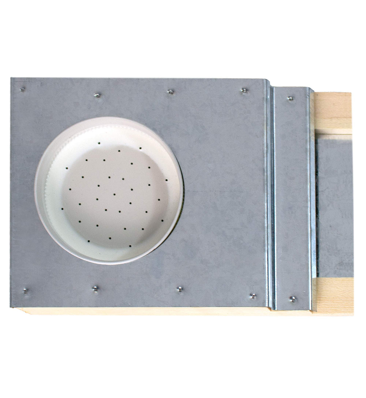 VIVO BEE-V110 jar-compatible design supports inverted-jar feeding at the entrance