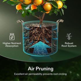VIVOSUN 10-gallon grow bag ready for indoor or outdoor use