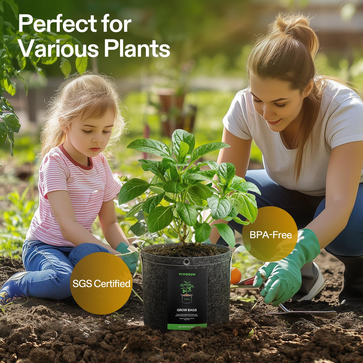 VIVOSUN grow bags with built-in metal rings for easy low-stress training.