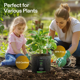 VIVOSUN grow bags with built-in metal rings for easy low-stress training.