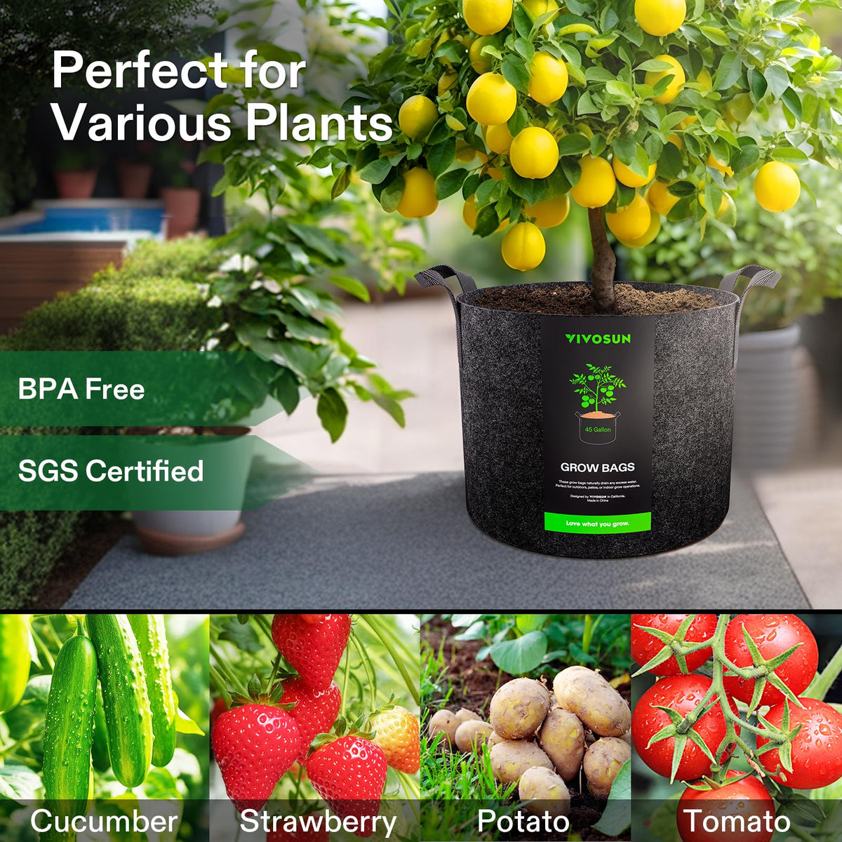 VIVOSUN 45 gal bag supports vegetables and plants with ample root space for robust growth