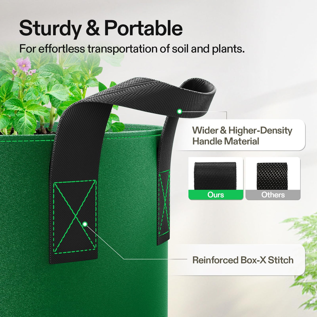 VIVOSUN green 10-gallon bag supports air pruning for stronger roots.