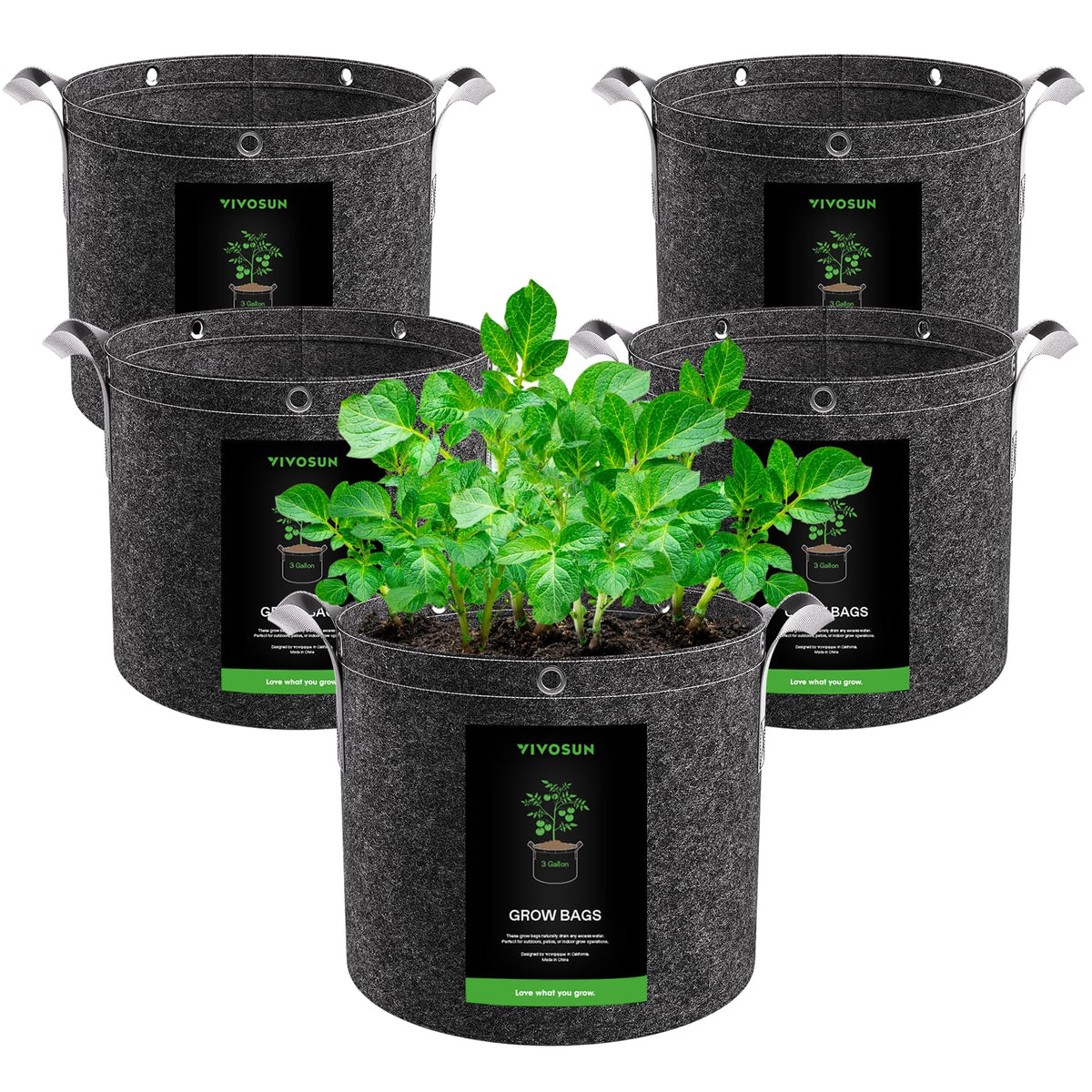 VIVOSUN 5-pack 3 gallon grow bags with flat base for stable filling.
