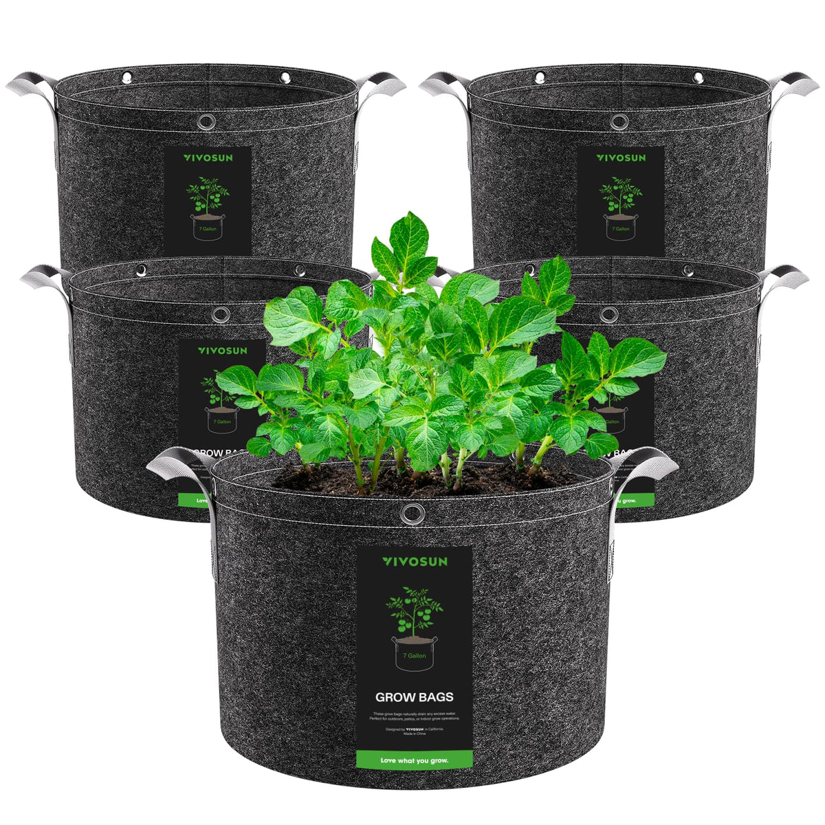 VIVOSUN 7-gallon grow bag with flat base for easy filling and stability.