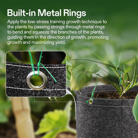 VIVOSUN bag supports low-stress training with built-in rings.