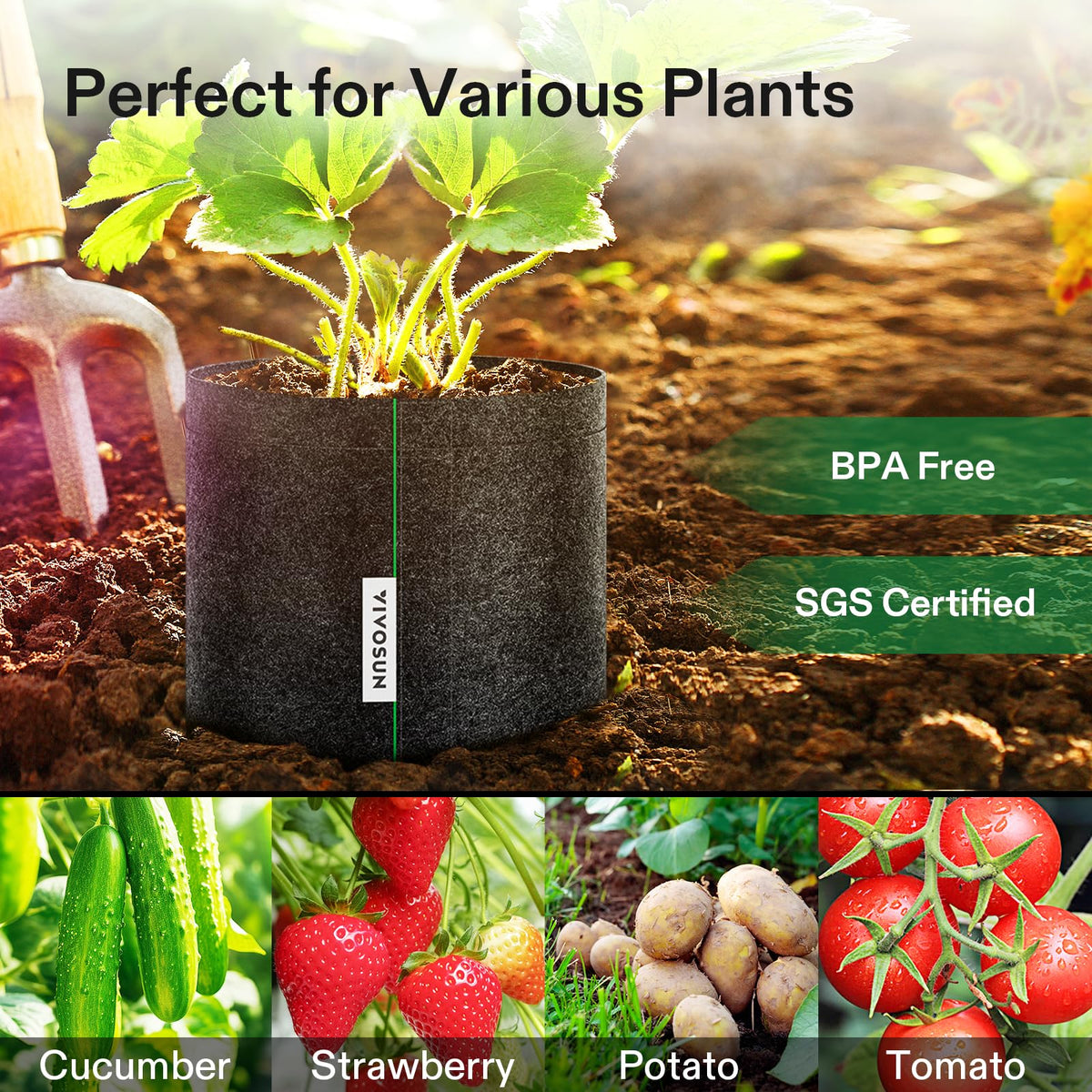 VIVOSUN 5-pack suitable for seedlings and transplanting projects.