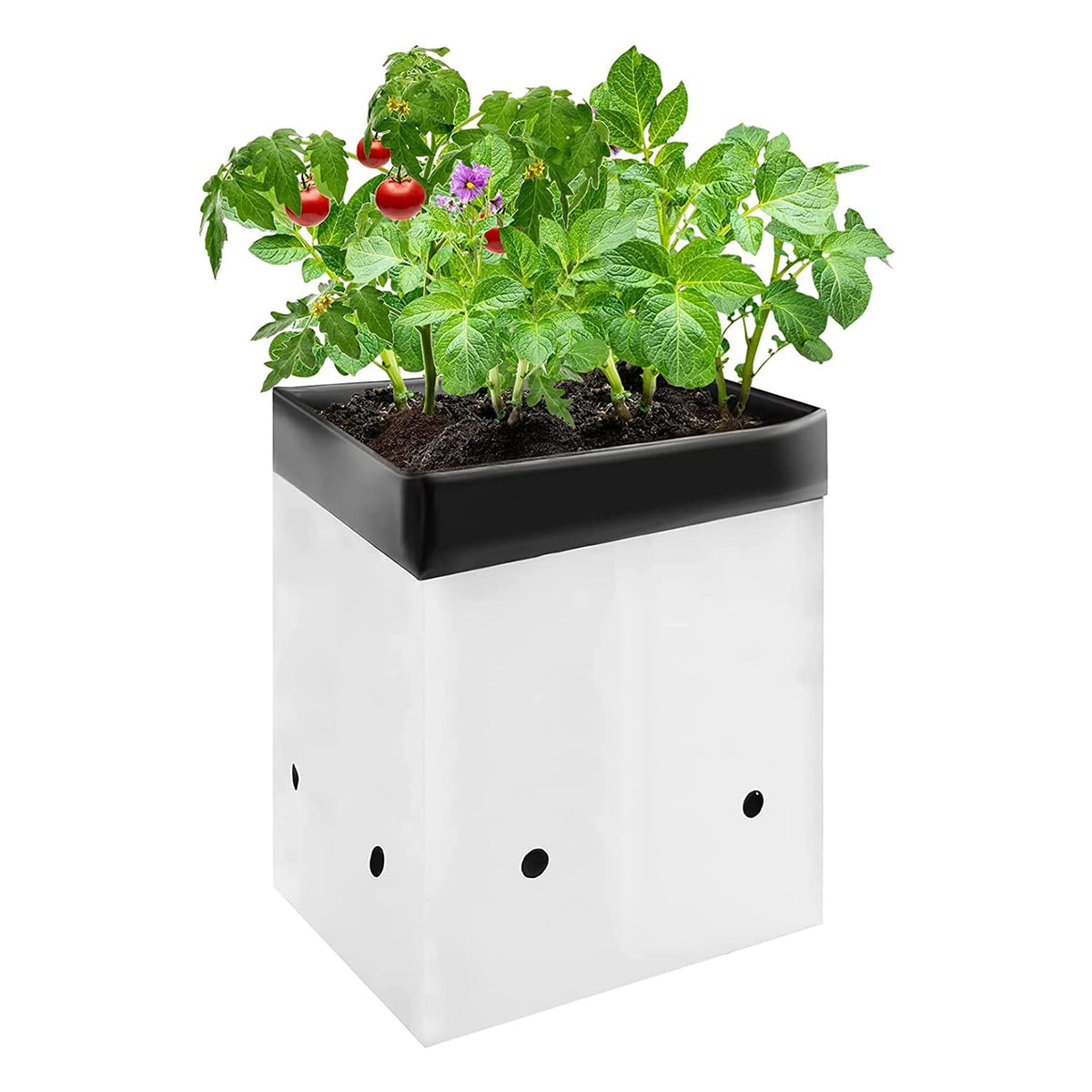 VIVOSUN 2-gallon grow bag side view shows sturdy, reusable construction.