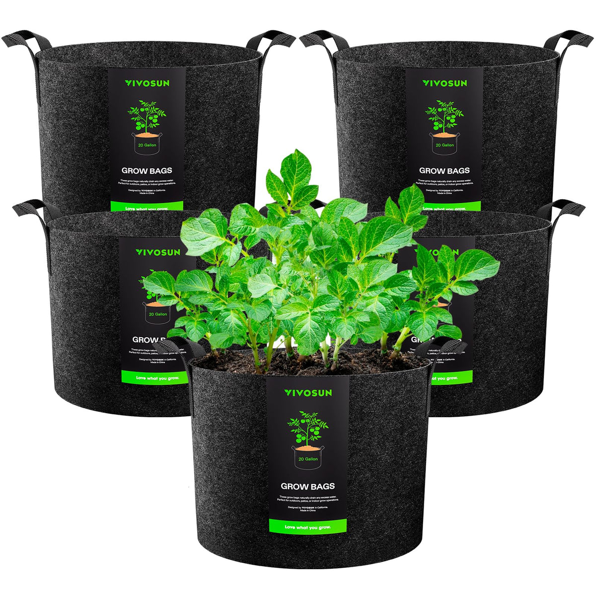 VIVOSUN 20-gallon grow bags show sturdy fabric and handles for easy transport.