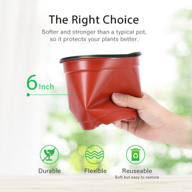VIVOSUN 6-inch pot with nine drainage holes for better water management.