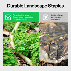 VIVOSUN 6-inch length anchors deeply to resist wind and displacement in gardens