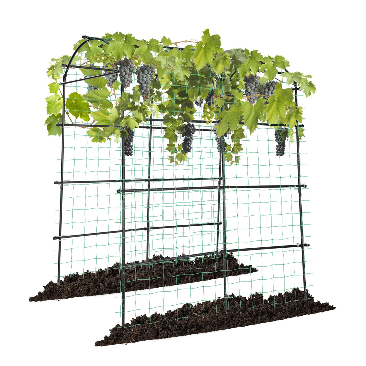 VIVOSUN 7ft arch trellis assembly showing sturdy garden support for climbing plants