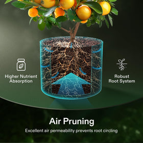 VIVOSUN bags illustrate air pruning and root health benefits.