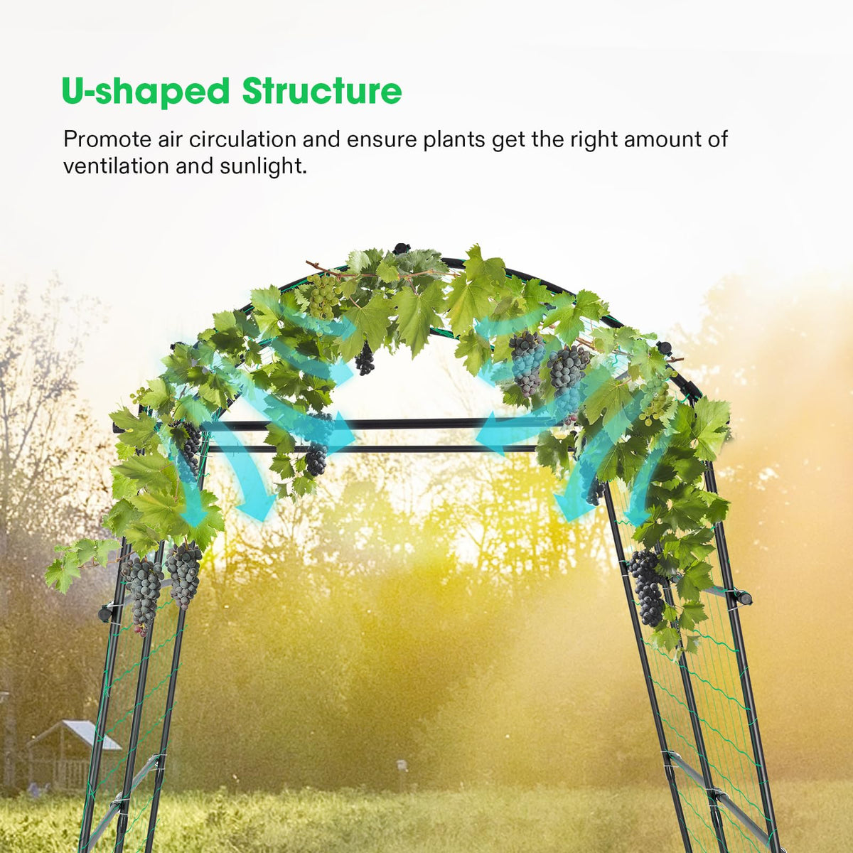 VIVOSUN arch trellis steel frame in black for durable garden structure