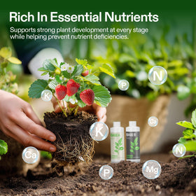 VIVOSUN Base A dilution in water demonstrates easy preparation for feeding.