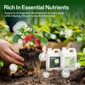 VIVOSUN Base B bottle for robust flowering and balanced nutrition
