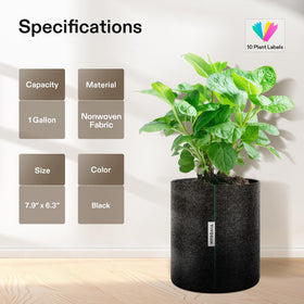 VIVOSUN BPA-free, durable grow bags designed for years of reuse.