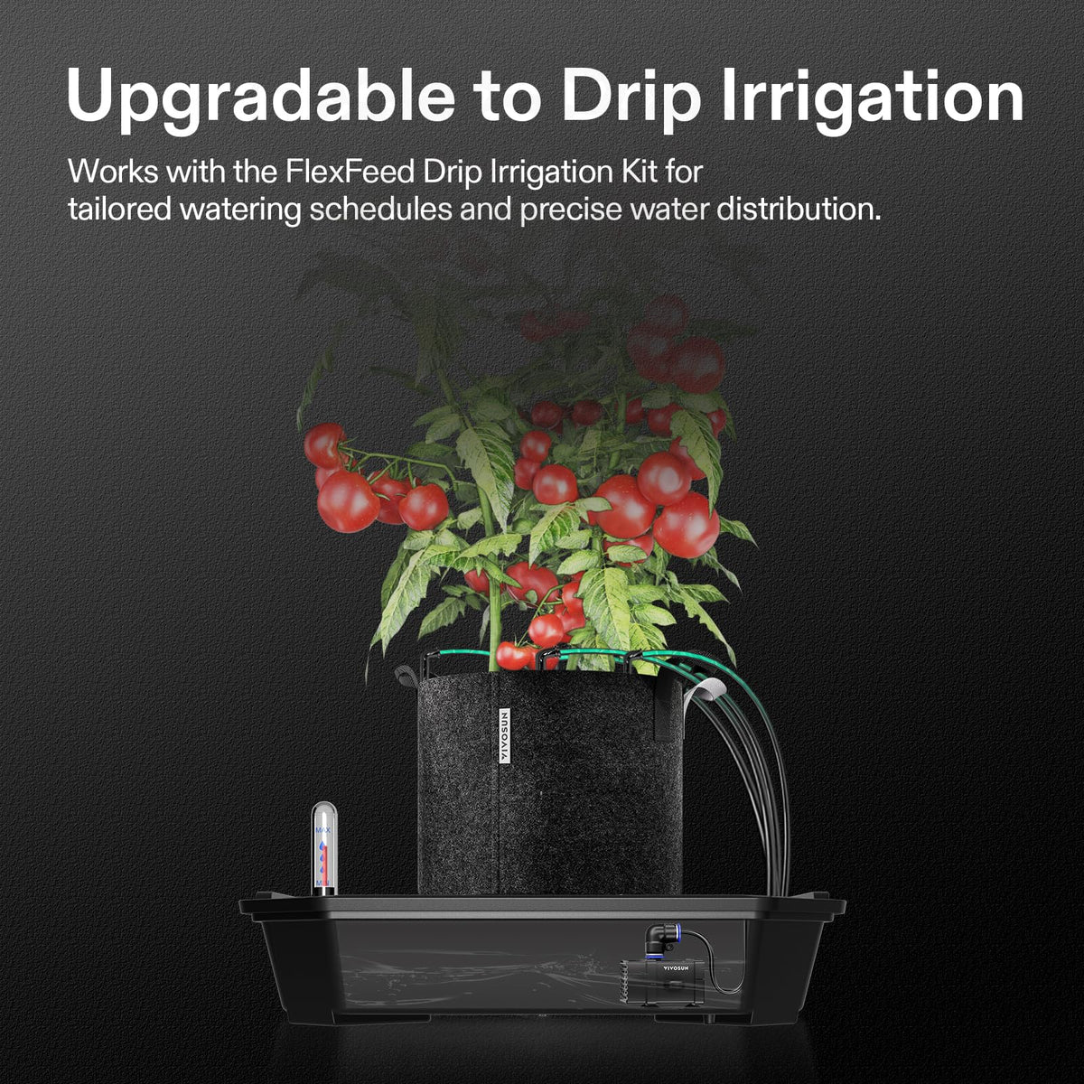 VIVOSUN BPA-free fabric pots support robust root growth