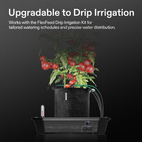 VIVOSUN BPA-free fabric pots support robust root growth
