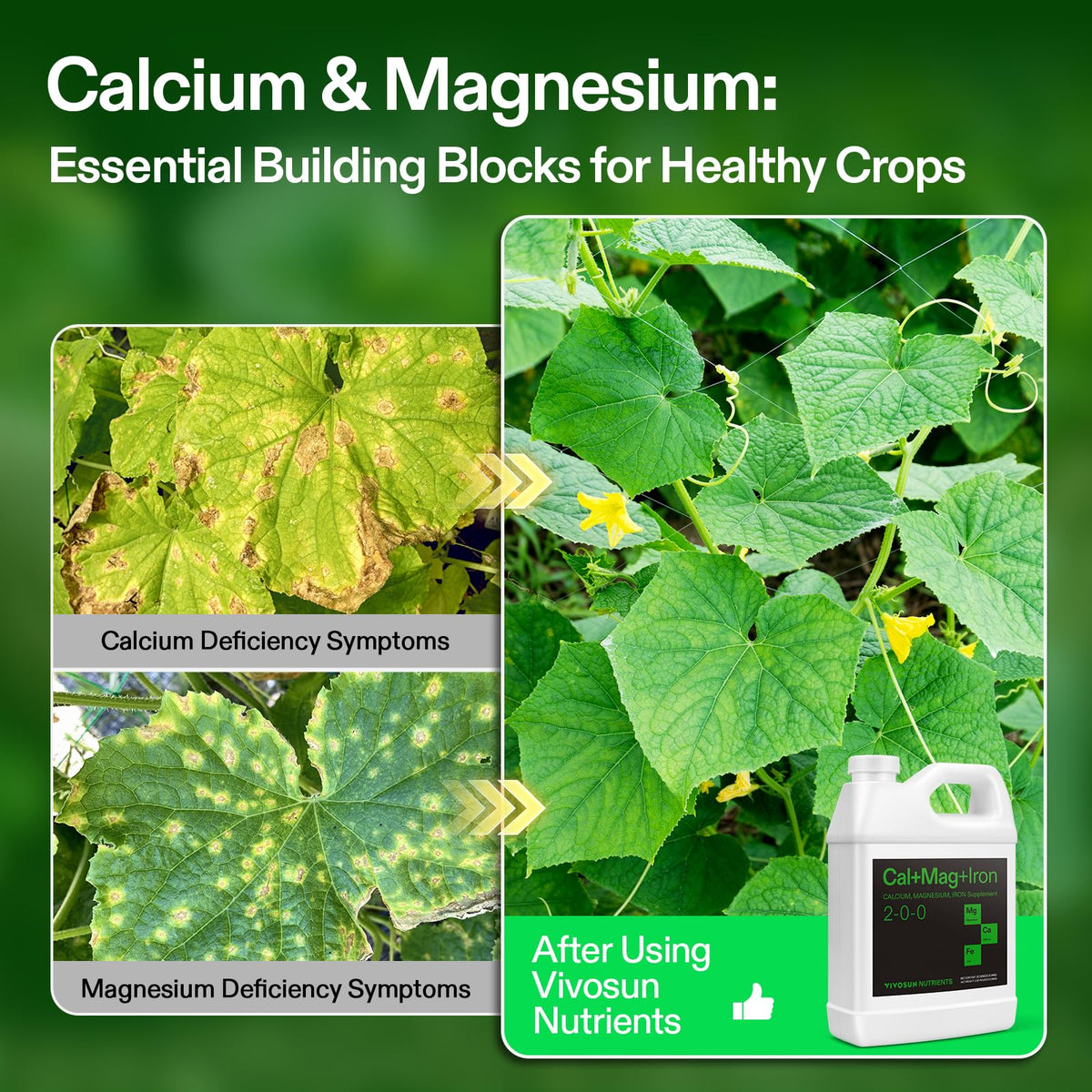 VIVOSUN Cal+Mag+Iron supports nutrient uptake in DWC systems