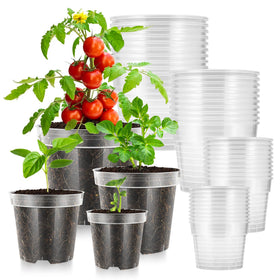 VIVOSUN clear nursery pot 3-inch top view, perfect for precise seed germination.