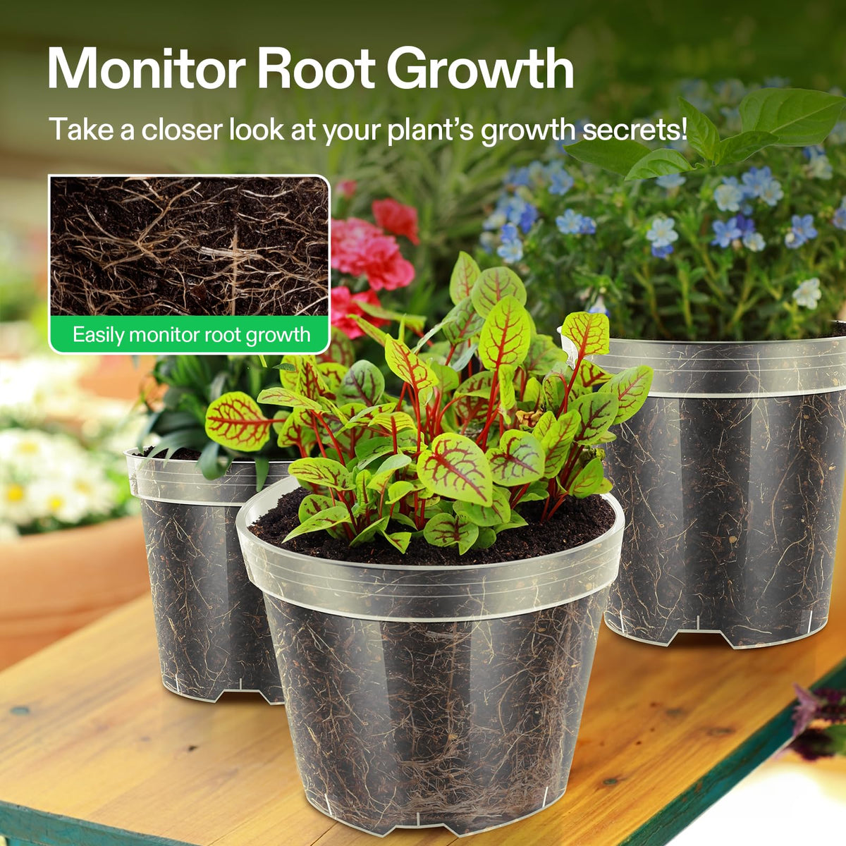 VIVOSUN clear nursery pot 4-inch side view, easy drainage for healthy seedlings.