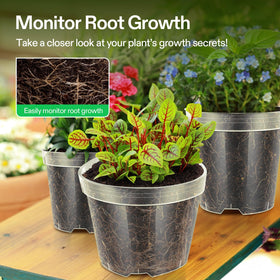 VIVOSUN clear nursery pot 4-inch side view, easy drainage for healthy seedlings.