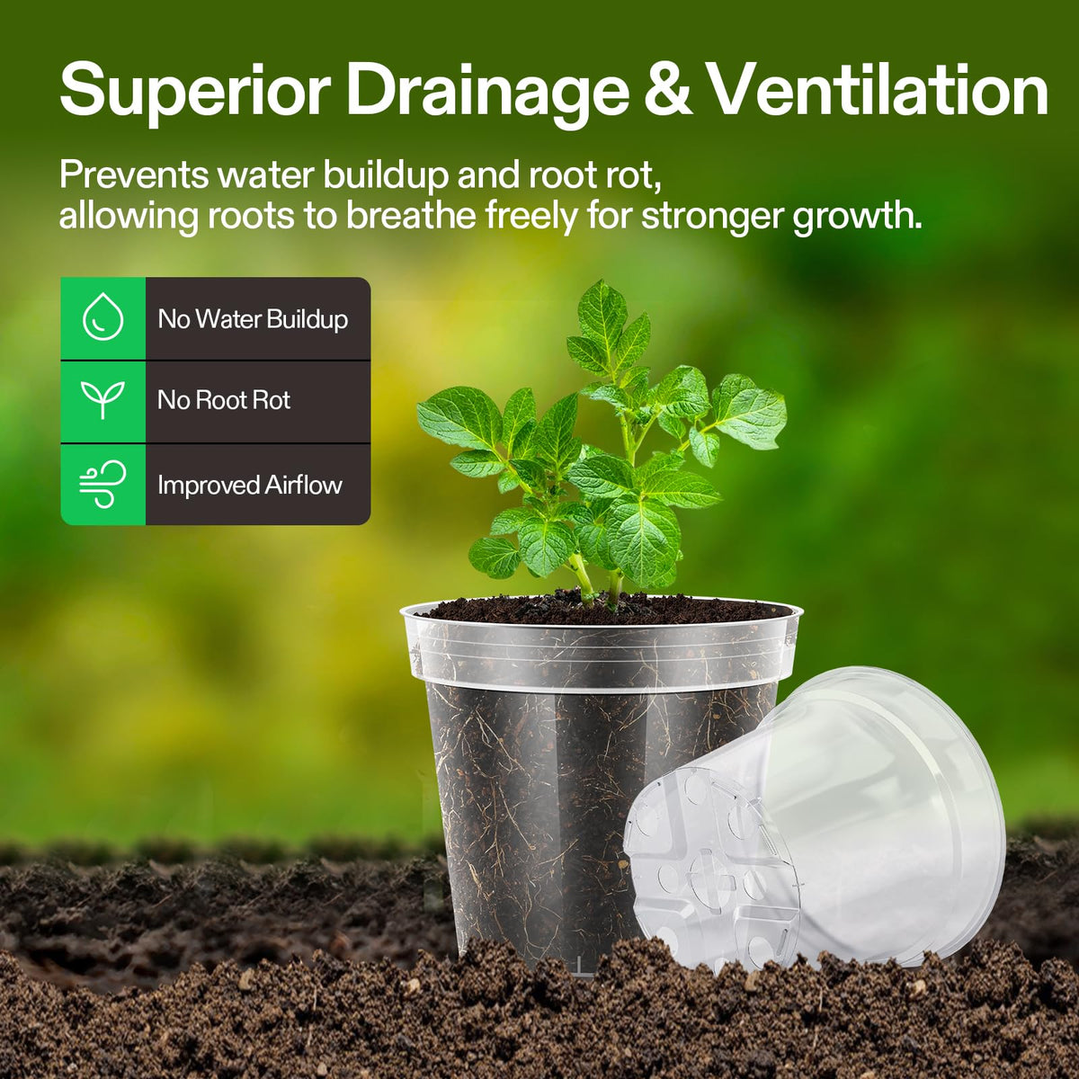 VIVOSUN clear nursery pot 5-inch front view, versatile for cuttings and sprouts.