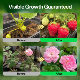 VIVOSUN compatible with soil, hydroponics, coco coir media.