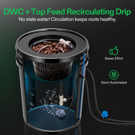 VIVOSUN DWC four 5-gallon buckets with baskets for easy transplanting.