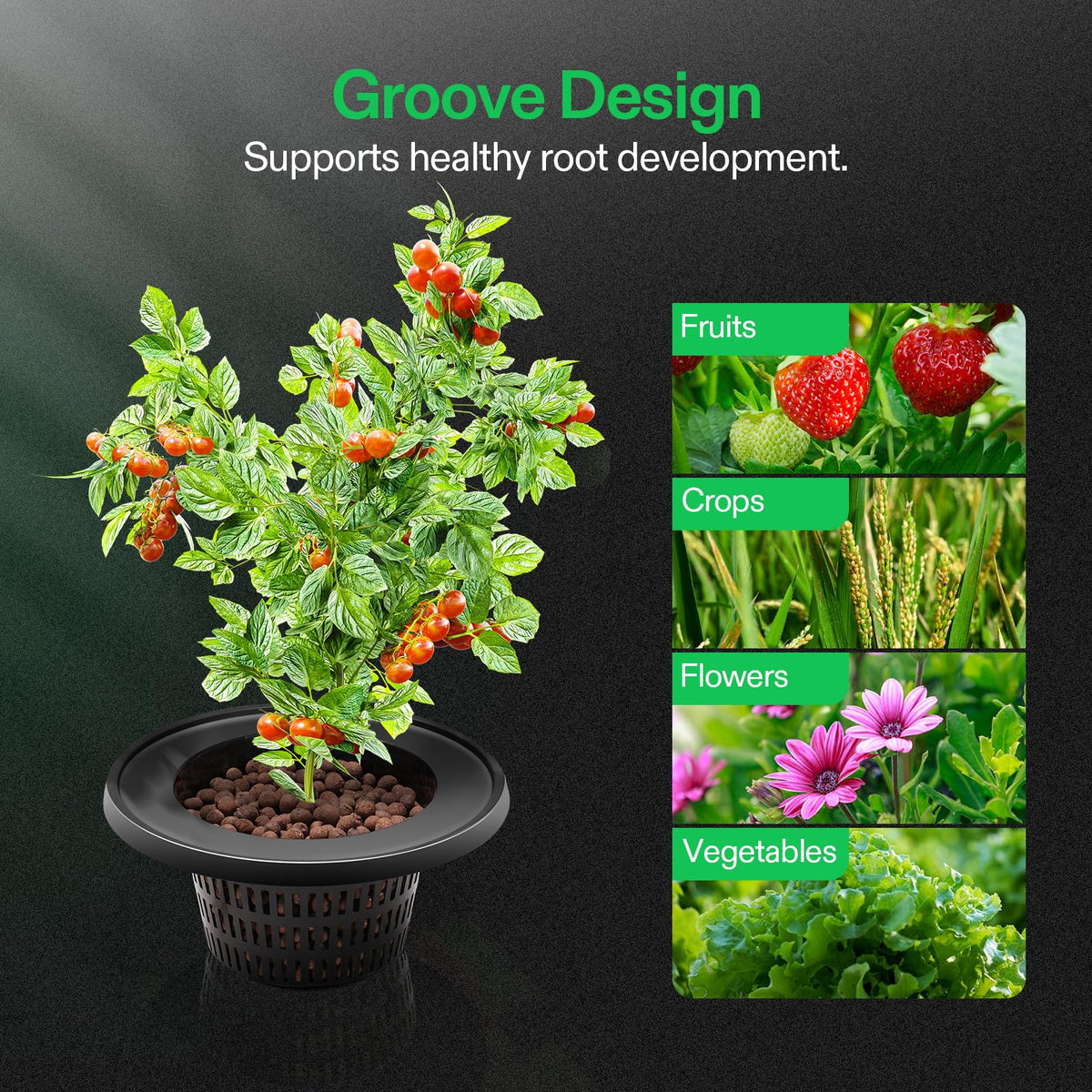 VIVOSUN drip irrigation sets delivering steady nutrient flow to roots.