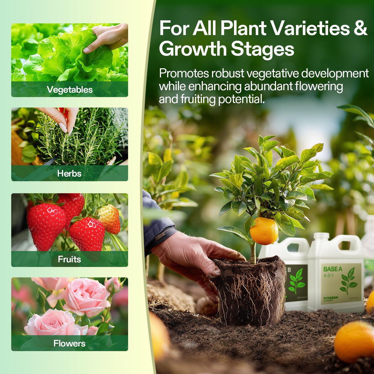 VIVOSUN easy two bottles demonstrate simple watering routine