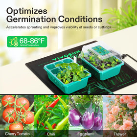 VIVOSUN energy-efficient 40W setup saves power during germination.