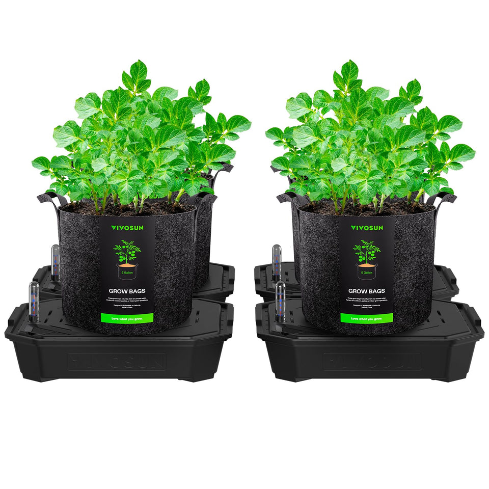 VIVOSUN FlexFeed self-watering pot base delivering steady moisture to roots for healthier growth