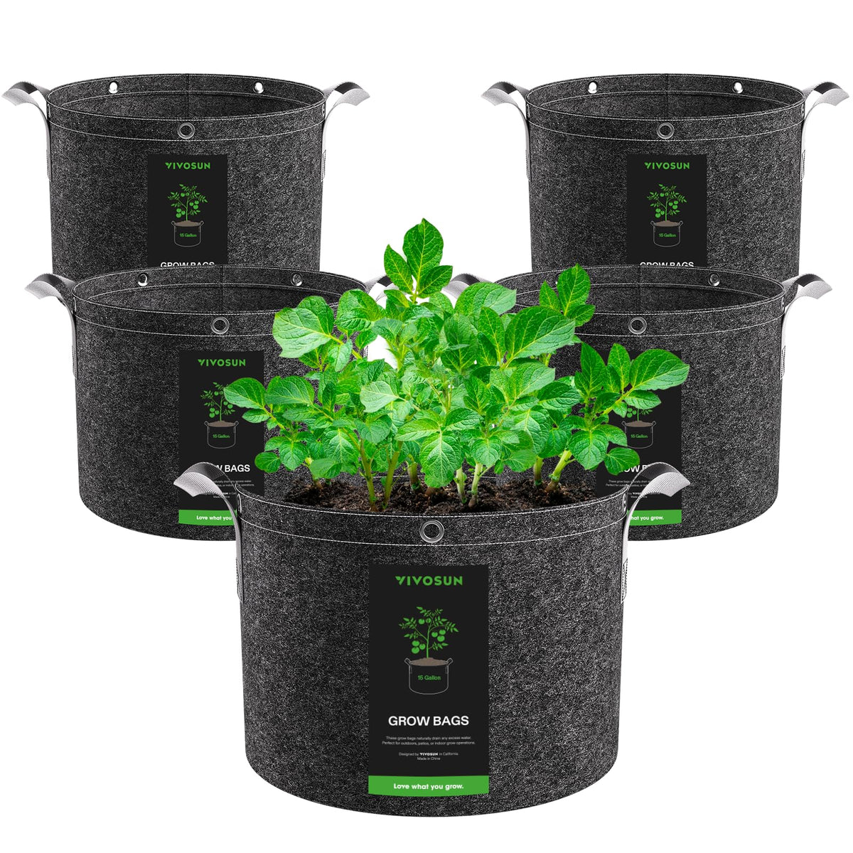 VIVOSUN 15-gallon grow bag with flat base for easy filling and steady placement
