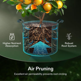 VIVOSUN grow bags drainage holes; promotes proper water flow and root air exchange.