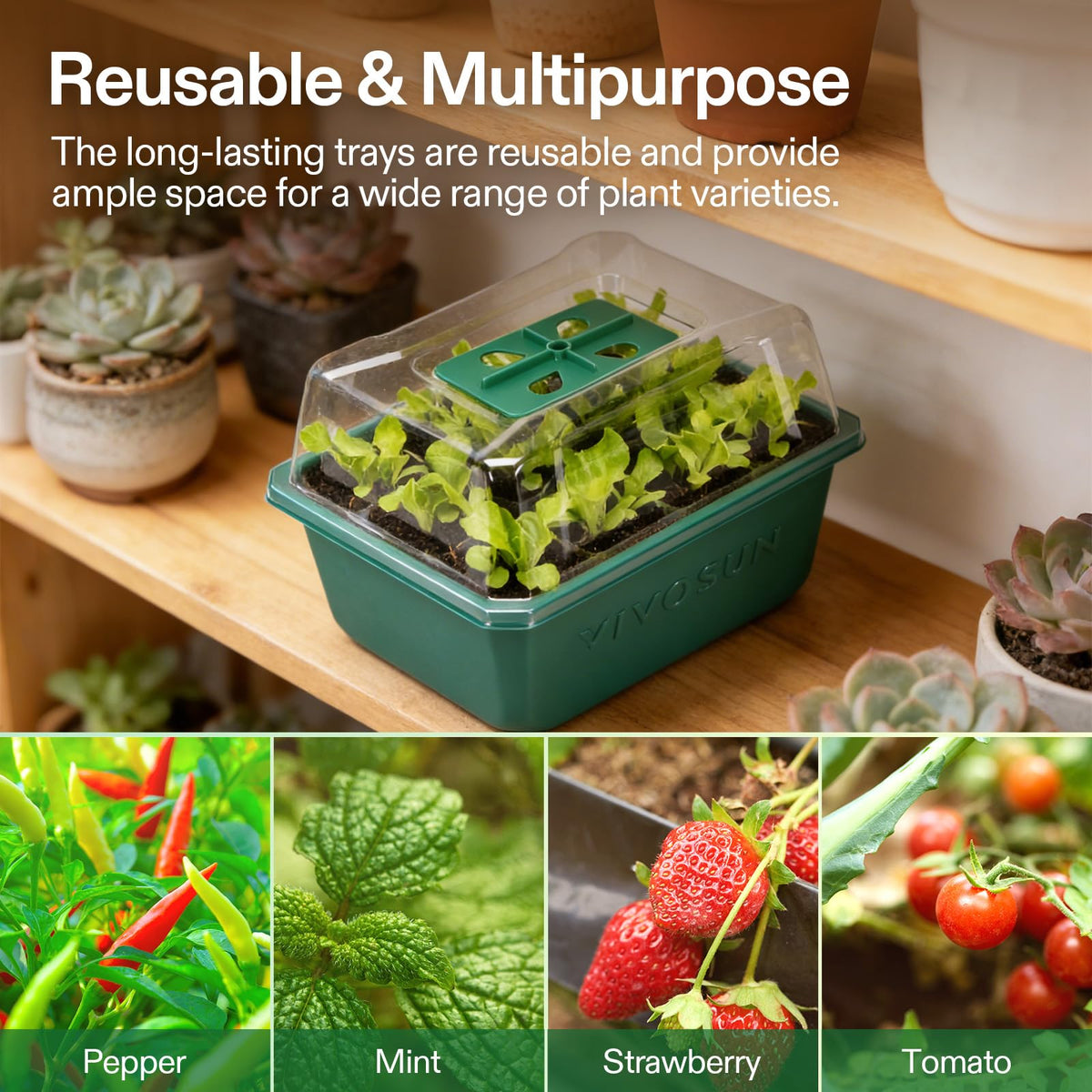 VIVOSUN heat mat-compatible tray supports warm germination for sprouts.