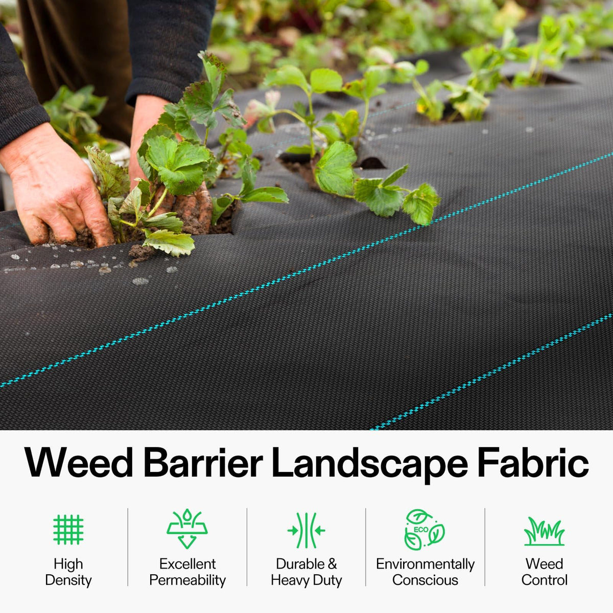 VIVOSUN high-permeability weed barrier supports quick drainage and root breathing.