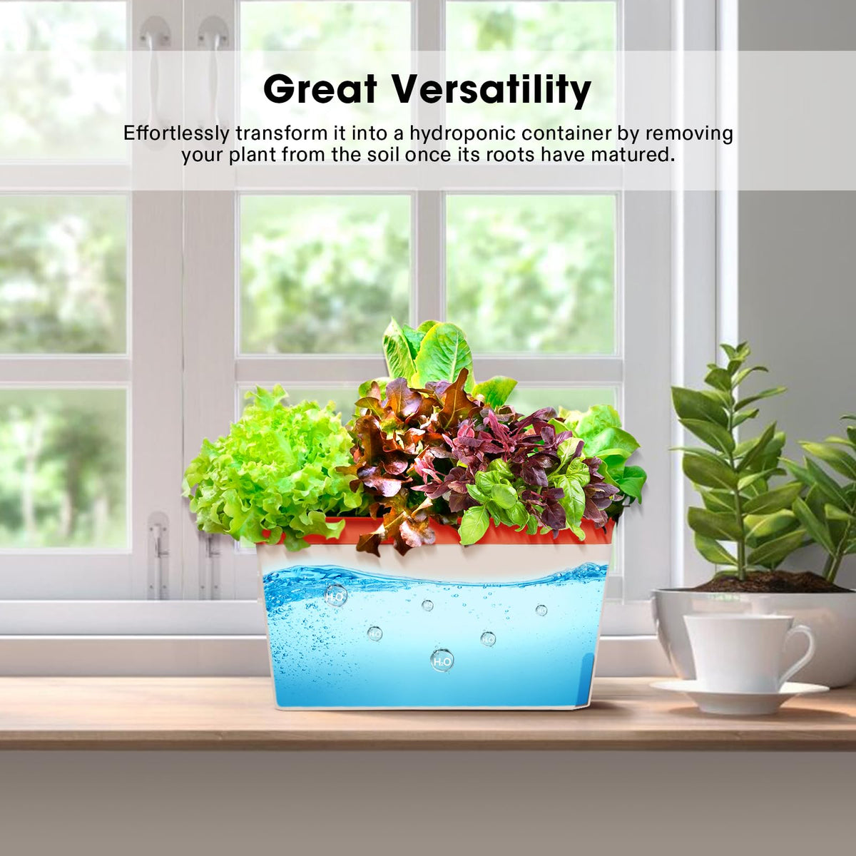 VIVOSUN planter supports hydroponic-style growth after roots mature.
