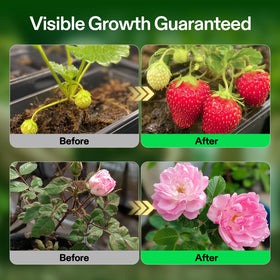 VIVOSUN hydroponics-setup showing compatibility with soil, hydroponics, coco coir