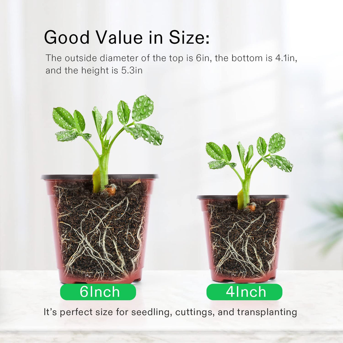 VIVOSUN indoor garden pot set ideal for seeds and compact spaces.