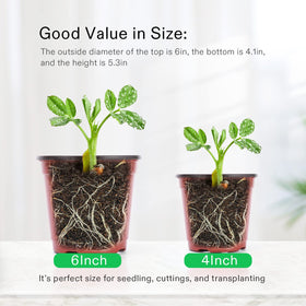 VIVOSUN indoor garden pot set ideal for seeds and compact spaces.