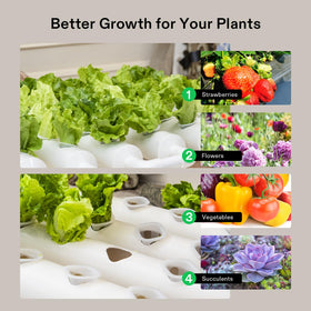 VIVOSUN indoor hydroponics setup in a compact space