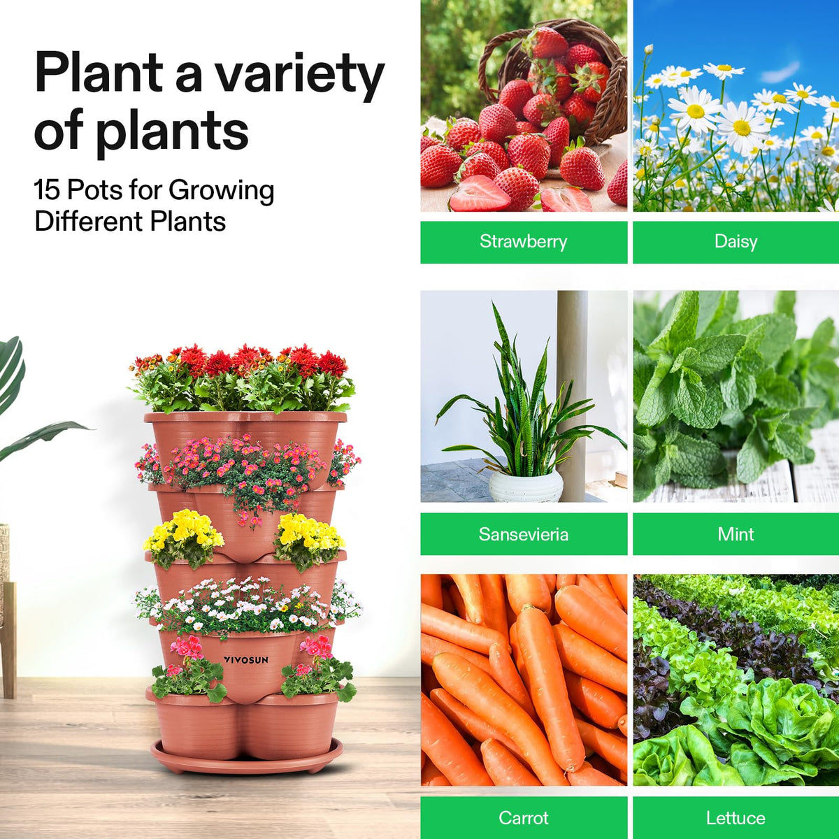 VIVOSUN kitchen or balcony garden setup supports fresh herbs and vegetables.