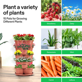 VIVOSUN kitchen or balcony garden setup supports fresh herbs and vegetables.
