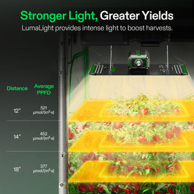 VIVOSUN LumaLight covers a 2x4 grow space with balanced light distribution.