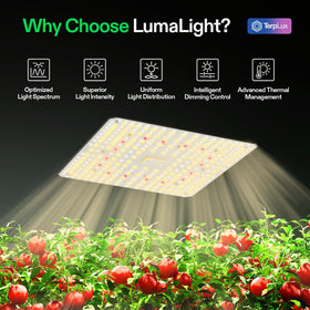 VIVOSUN LumaLight shows smart dimming controls for tailored growth in a tent.
